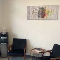Elite Chiropractic - Plano ico