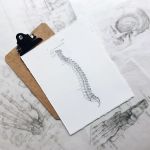 Whole Body Chiropractic - Plano