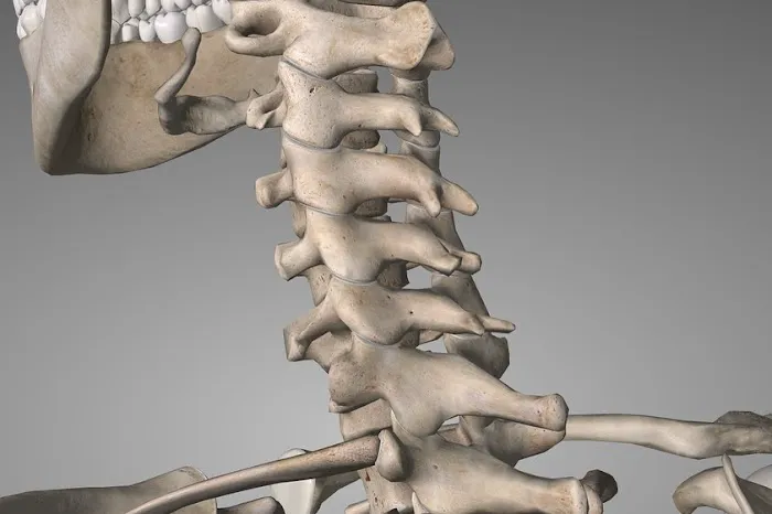 M2 Chiropractic Picture 1