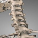 M2 Chiropractic