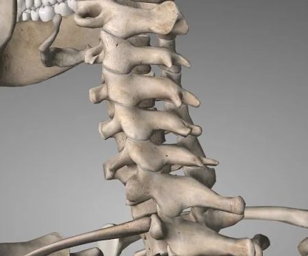 M2 Chiropractic