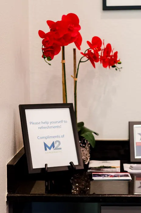 M2 Chiropractic Picture 7