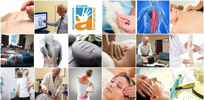 Alexcare Chiropractic & Acupuncture: Alexander Leybovich, DC Picture 5