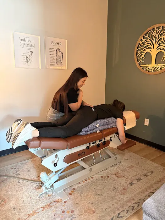 Tula Chiropractic and Wellness Picture 4
