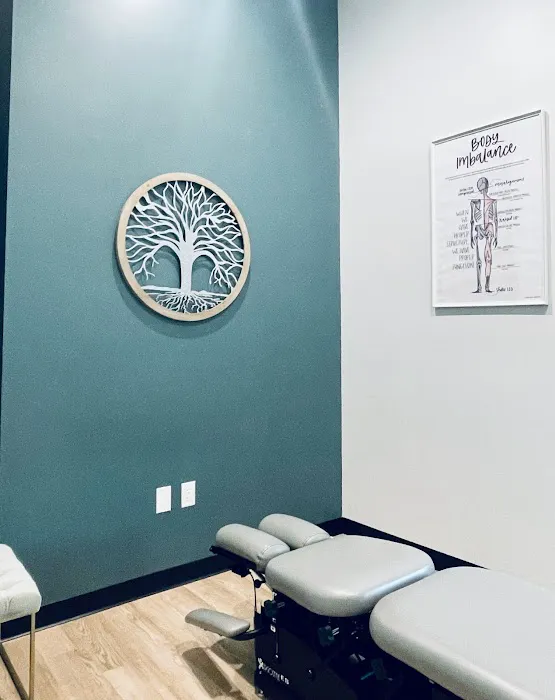 Tula Chiropractic and Wellness Picture 6
