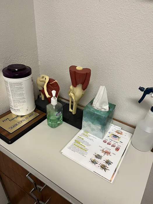 Accident & Injury Chiropractic Spring Valley Picture 4