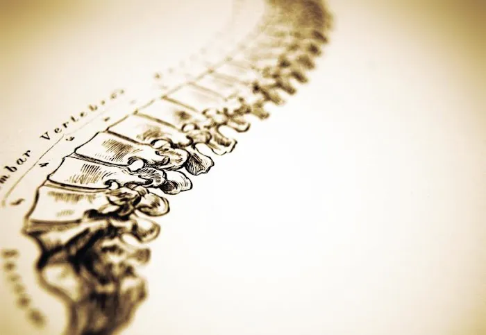 Serenity Chiropractic and Wellness Picture 2