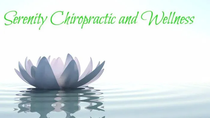 Serenity Chiropractic and Wellness Picture 1