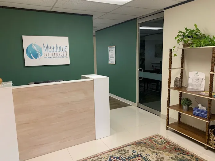 Meadows Chiropractic and Laser Center Picture 5