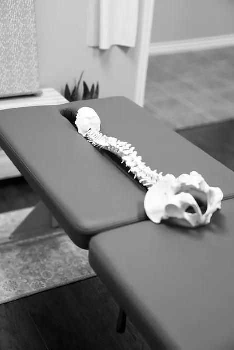 Health Co. Chiropractic Picture 6