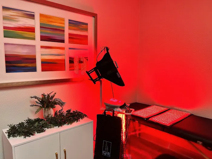 Scott Chiropractic and Wellness Picture 7
