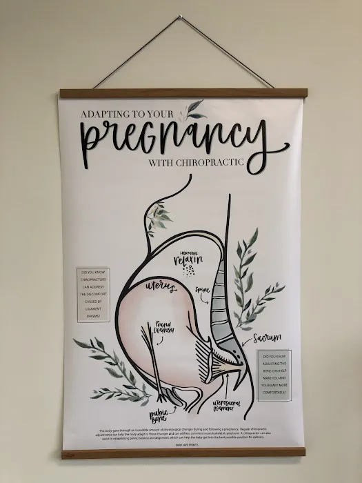 Frida Chiropractic and Wellness Center Picture 4