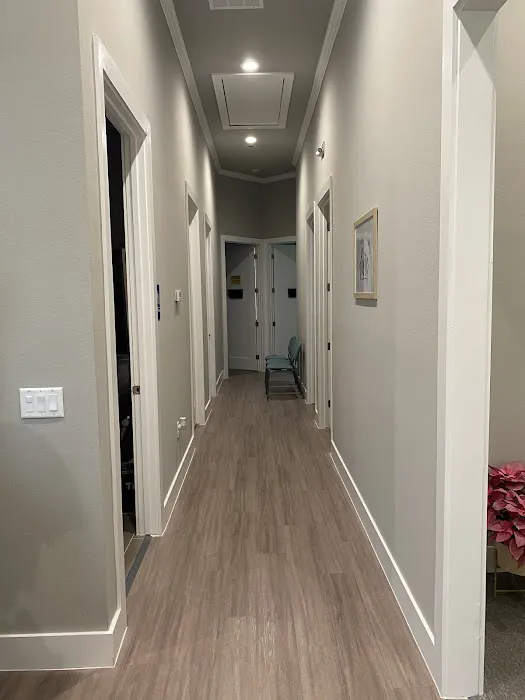 Wellness in Motion Chiropractic Picture 5