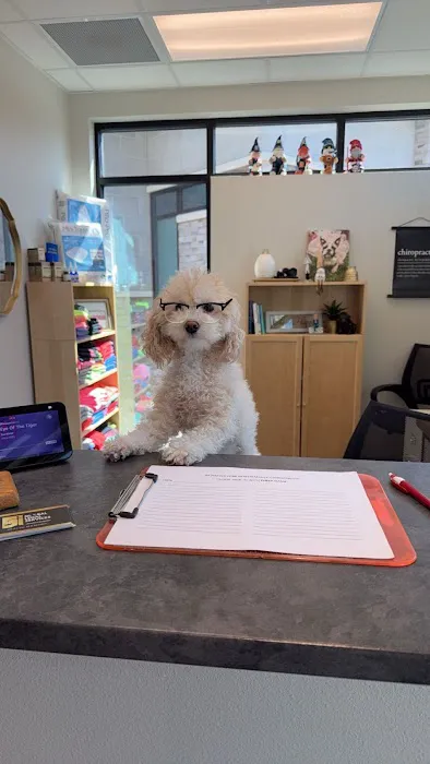 Newmyer Peak Performance Chiropractic PLLC Picture 6