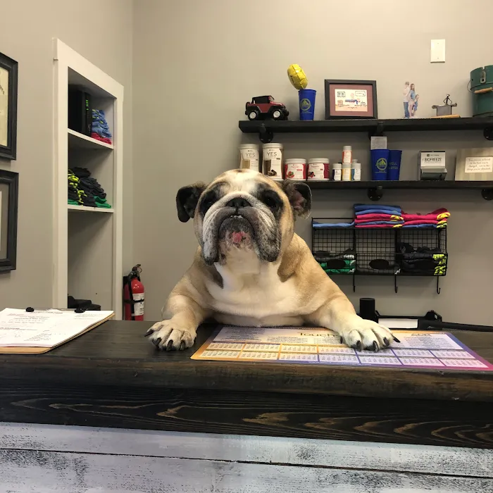 Newmyer Peak Performance Chiropractic PLLC Picture 9