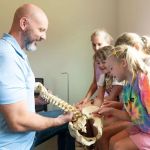 Connect Chiropractic