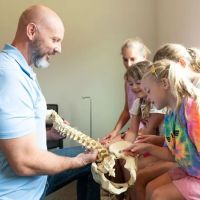 Connect Chiropractic ico
