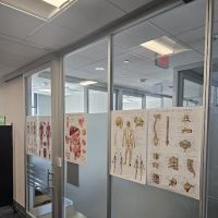 Core Strength Wellness Center ico
