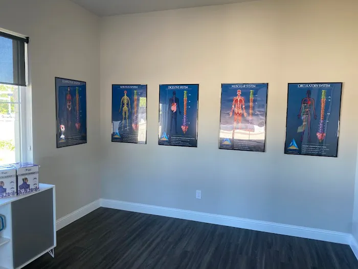 Dr. Ali Chiropractic and Wellness Center Picture 7