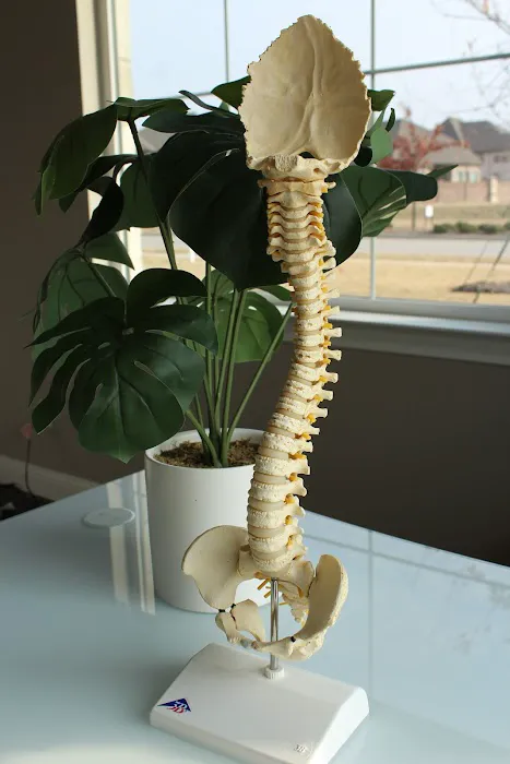 State of Flow Chiropractic Picture 10