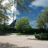 Texas Spine & Wellness ico