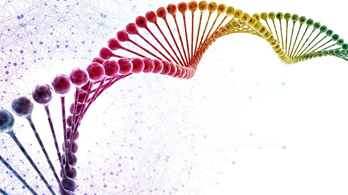 Achieve Vitality Picture 9