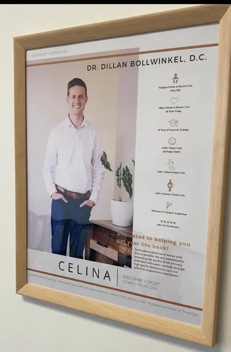 Apex Spine and Sport Picture 10