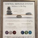 Live Well Family Chiropractic | Chiropractor