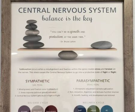 Live Well Family Chiropractic | Chiropractor
