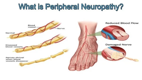 Dr. Josh Paek Picture 1