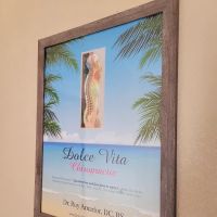 Dolce Vita Chiropractic LLC ico