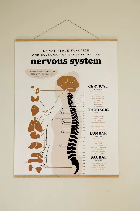 True Light Chiropractic Picture 2