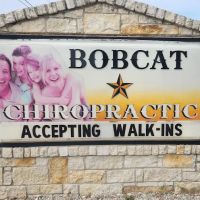 Bobcat Chiropractic ico