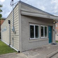 Bridges Chiropractic ico