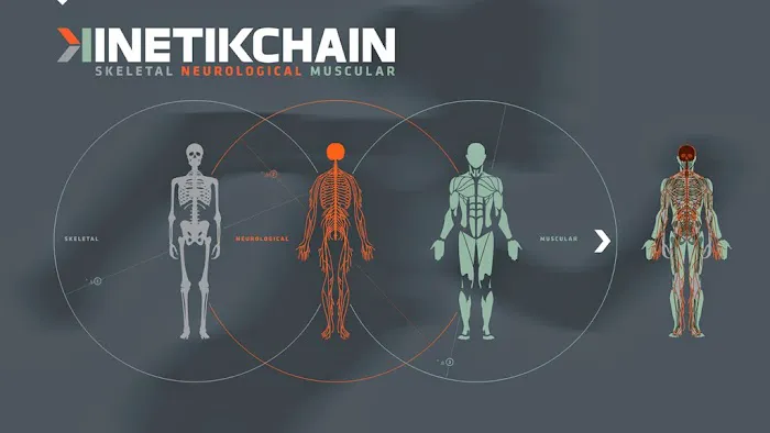 KinetikChain Picture 10