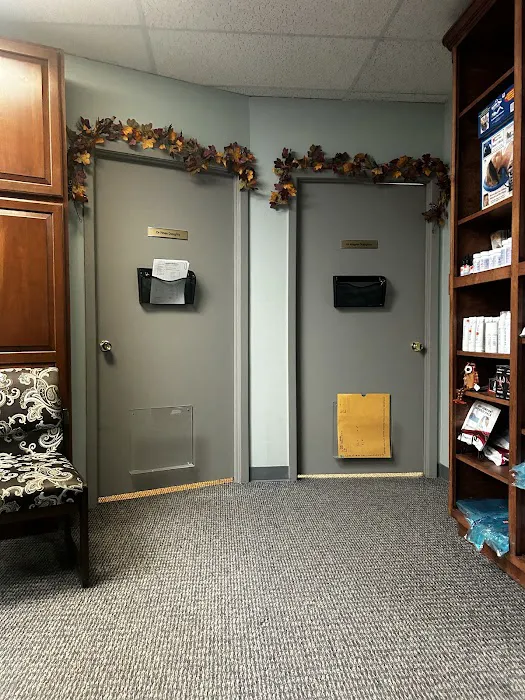 Draughon Chiropractic Picture 3
