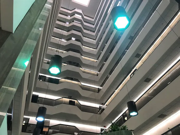 Dallas Wellness Center Picture 3