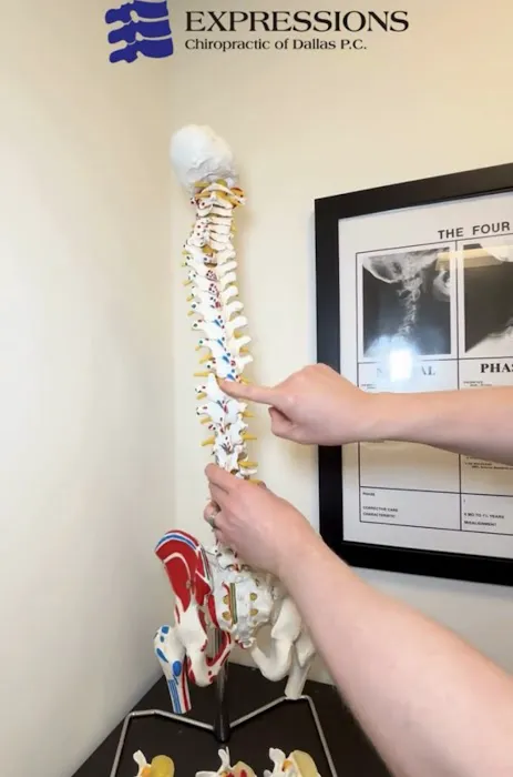 Expressions Chiropractic Of Dallas PC Picture 10