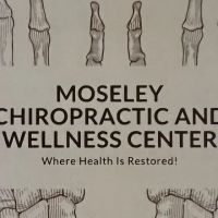 Moseley Chiropractic and Wellness Center, PLLC ico