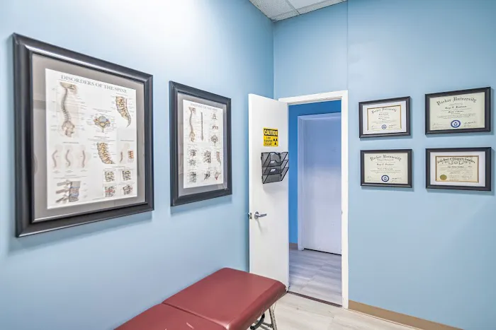 Physis Chiropractic Picture 1