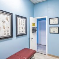 Physis Chiropractic ico