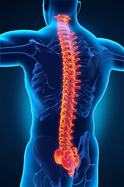 Tallant Chiropractic Picture 4