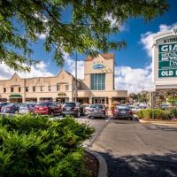 Accident and Injury Chiropractic Dallas, Oak Cliff ico