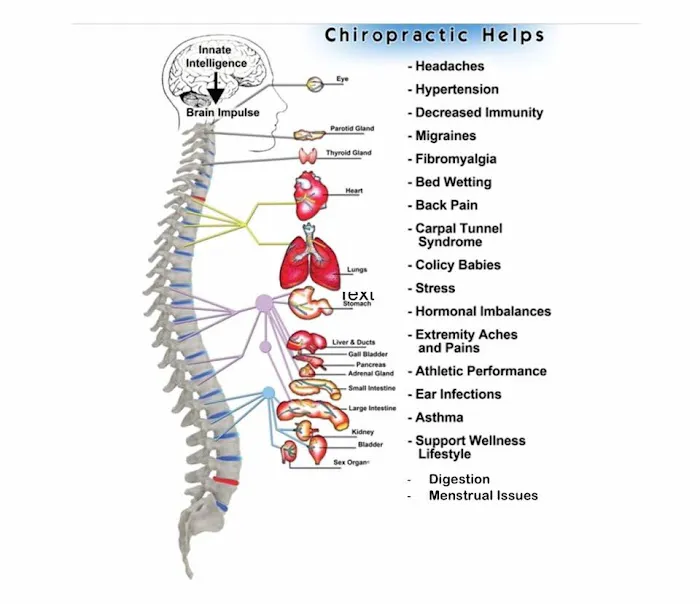 TRU Health Chiropractic Picture 7
