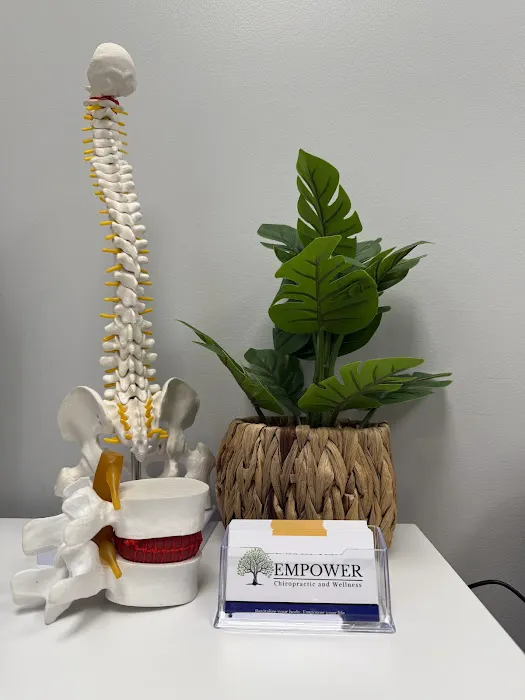 Empower Chiropractic and Wellness, PLLC Picture 4