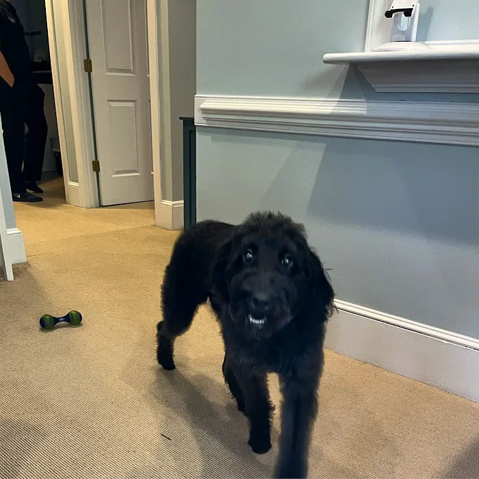 Liberty Chiropractic Institute Picture 9