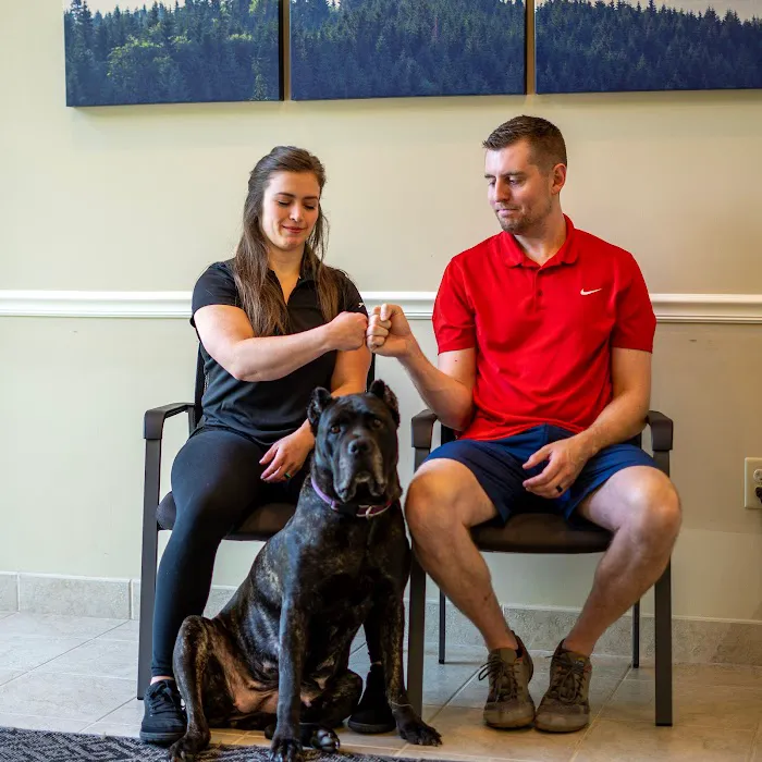 Power Chiropractic Picture 3