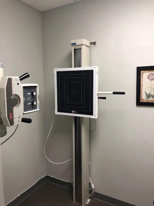 Camelot Chiropractic Centre Picture 1