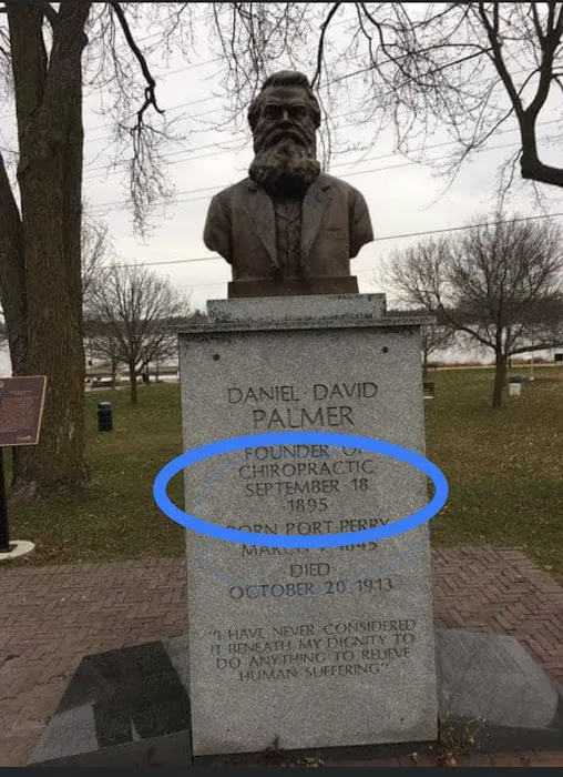 Camelot Chiropractic Centre Picture 2