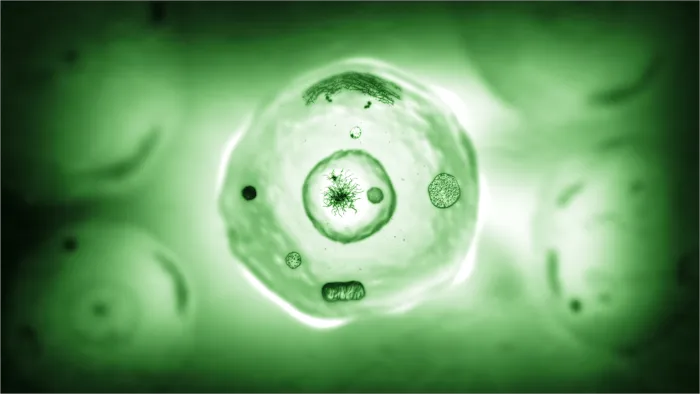 Azael Borromeo, DC Picture 4